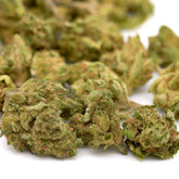 OG Watermelon THCa Hemp Flower Smalls - Plants